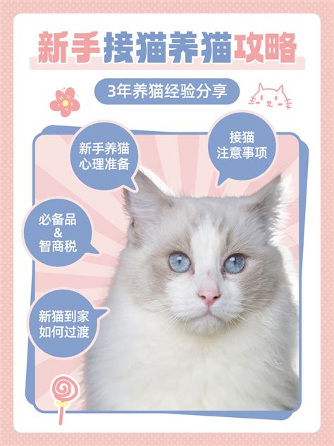 海宴宠物店-第1张图片-彩蝶百科