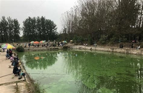海棠湾垂钓园电话地址-第1张图片-彩蝶百科