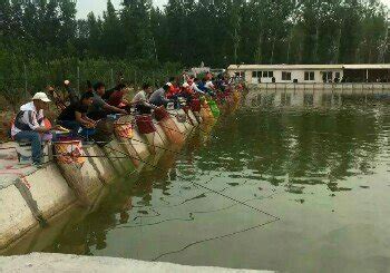 霸州九湖鱼馆电话-第1张图片-彩蝶百科