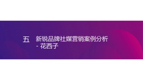 1.恒望科技-第1张图片-彩蝶百科