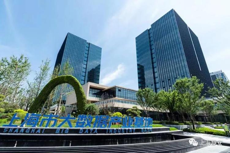 品牌大数据开发公司：专业解析-第1张图片-彩蝶百科