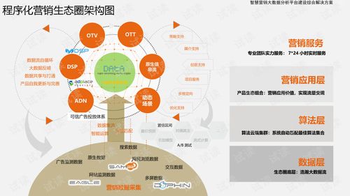 大数据的营销特点-第1张图片-彩蝶百科