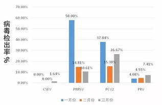 大数据在防疫中的应用经验和做法-第1张图片-彩蝶百科