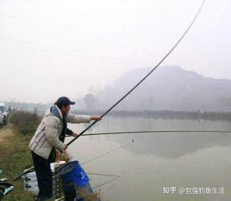 茅草漂优缺点-第1张图片-彩蝶百科