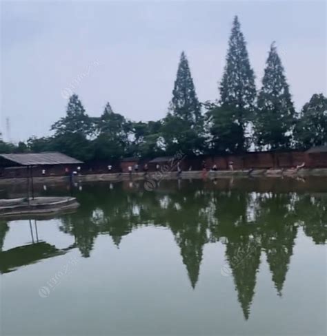 设计要点-第1张图片-彩蝶百科