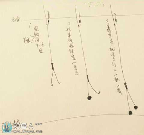黑坑垂钓怎样调漂最好-第1张图片-彩蝶百科