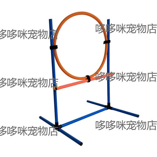 滨江宠物医院-第1张图片-彩蝶百科