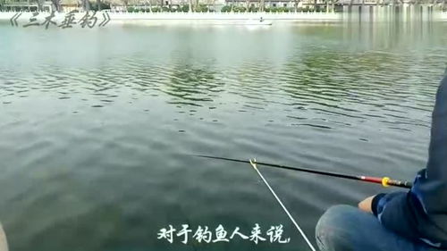 公益性海洋牧场允许垂钓吗-第1张图片-彩蝶百科