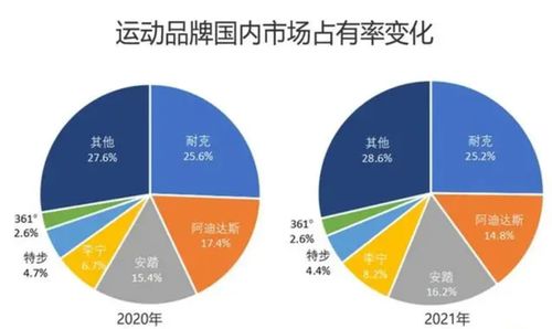 张争宽大数据审计-第1张图片-彩蝶百科