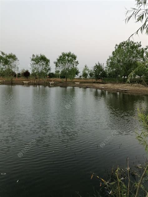 江夏中州府生态园-第1张图片-彩蝶百科