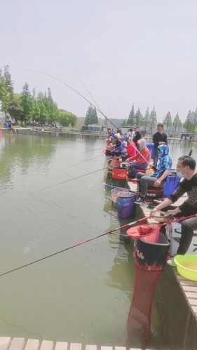 1.宝山中心公园-第1张图片-彩蝶百科