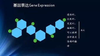 大数据革命:-第1张图片-彩蝶百科 大数据革命:-第1张图片-彩蝶百科