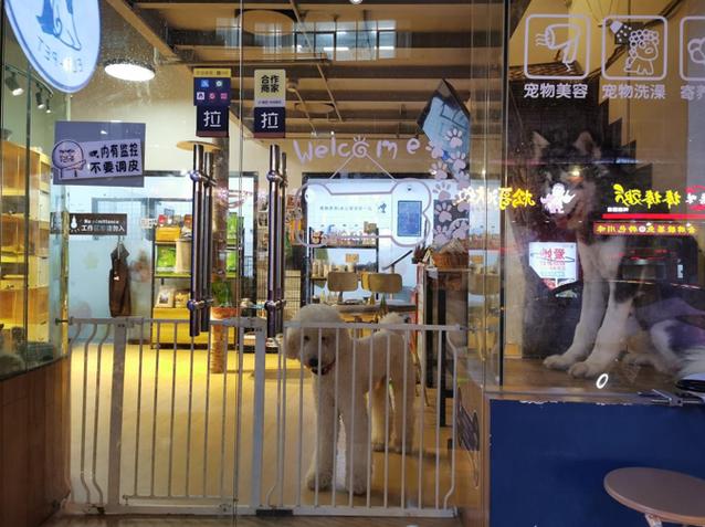 商场开宠物店需要什么证件-第1张图片-彩蝶百科