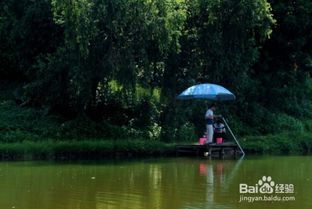 野外钓鱼做法-第1张图片-彩蝶百科 野外钓鱼做法-第1张图片-彩蝶百科