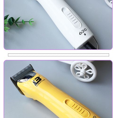 乐比宠物用品-第1张图片-彩蝶百科