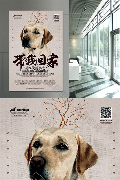 重庆宠物交流微信群-第1张图片-彩蝶百科