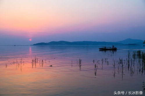 湖畔夕阳垂钓的诗句有哪些-第1张图片-彩蝶百科