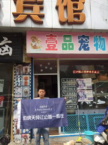 哈狗帮宠物医院(星海店)怎么样-第1张图片-彩蝶百科