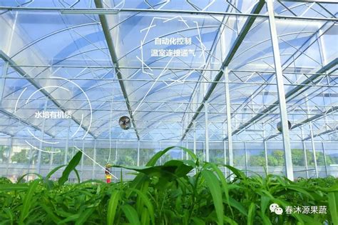 天水水库野钓-第1张图片-彩蝶百科