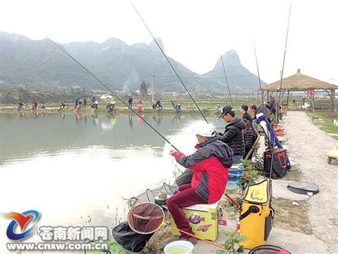炖鸡腿鸡爪-第1张图片-彩蝶百科 炖鸡腿鸡爪-第1张图片-彩蝶百科