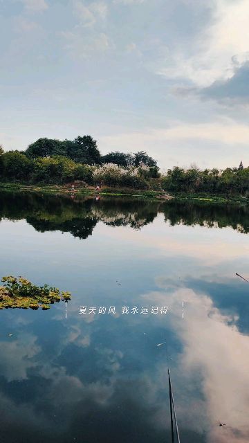 益阳钓场分享-第1张图片-彩蝶百科