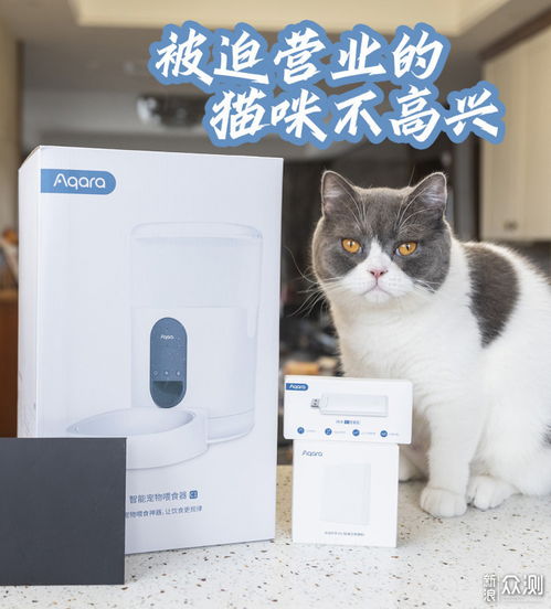 智能宠物喂食器说明书-第1张图片-彩蝶百科
