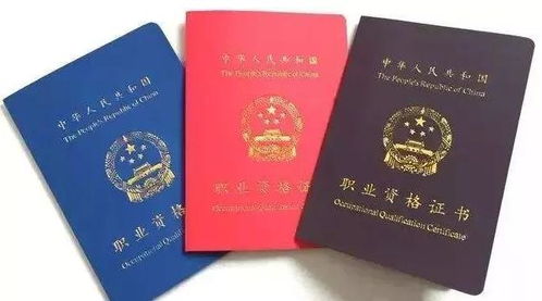 厦门大数据职称结果-第1张图片-彩蝶百科