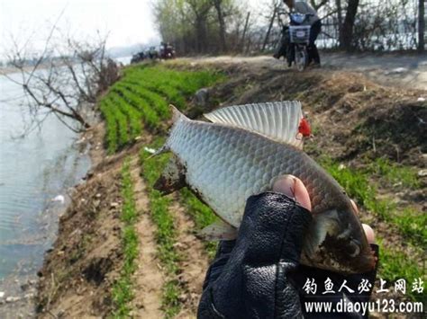 梦见鱼竿断了一节-第1张图片-彩蝶百科