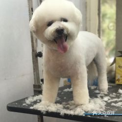 乐派宠物医院德州-第1张图片-彩蝶百科