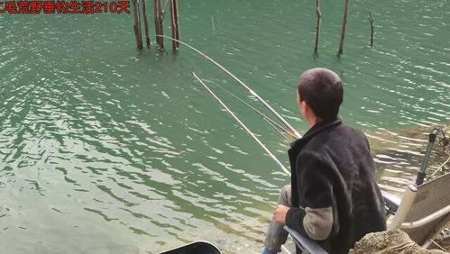 荒野连续垂钓260天92天-第1张图片-彩蝶百科
