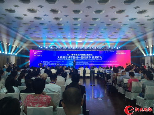 国际大数据公司排名-第1张图片-彩蝶百科