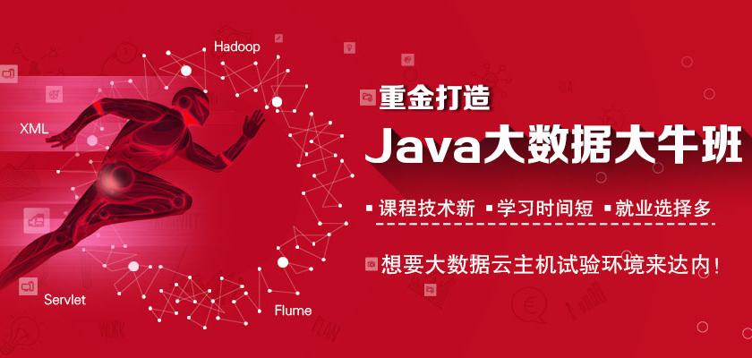 大数据技术职业生涯规划书1000字-第1张图片-彩蝶百科