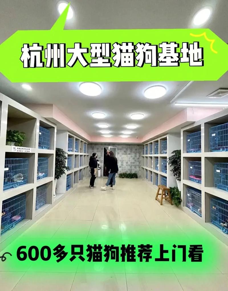 卖狗给宠物店多少钱-第1张图片-彩蝶百科