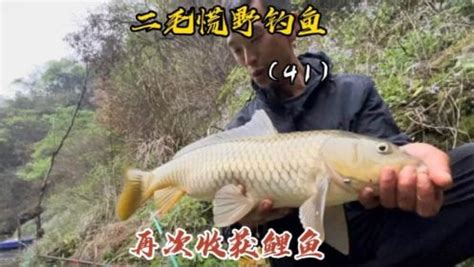 二毛荒野垂钓270天第94天-第1张图片-彩蝶百科 二毛荒野垂钓270天第94天-第1张图片-彩蝶百科