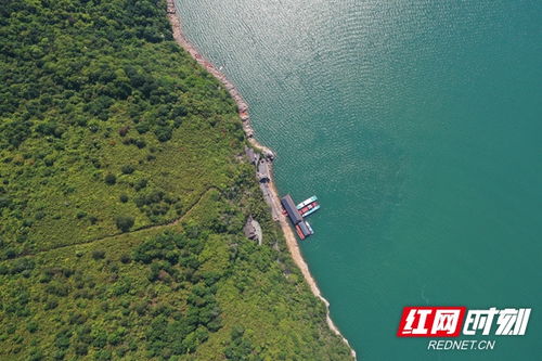 资兴市东江湖垂钓区在哪-第1张图片-彩蝶百科