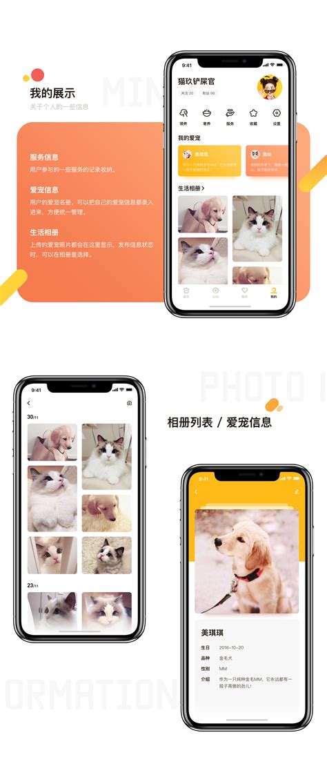 宠物定位-第1张图片-彩蝶百科