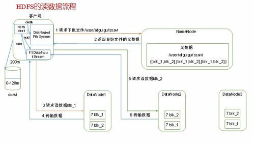 大数据特点题目有哪些内容-第1张图片-彩蝶百科