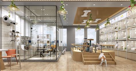 宠物店滤镜图片真实图-第1张图片-彩蝶百科