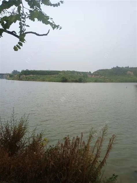山西临汾碧水垂钓园简介图片-第1张图片-彩蝶百科 山西临汾碧水垂钓园简介图片-第1张图片-彩蝶百科