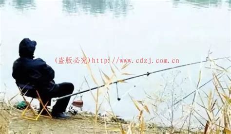 1.选择合适的垂钓场所-第1张图片-彩蝶百科 1.选择合适的垂钓场所-第1张图片-彩蝶百科