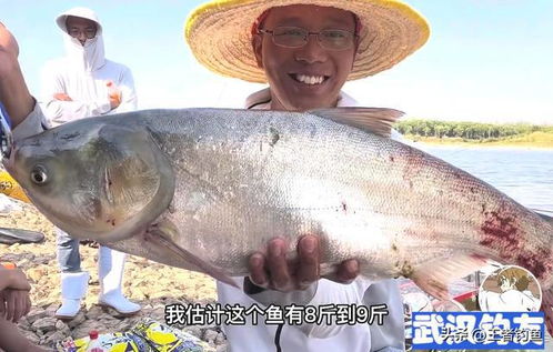 重庆禁钓区违钓怎么处罚-第1张图片-彩蝶百科 重庆禁钓区违钓怎么处罚-第1张图片-彩蝶百科