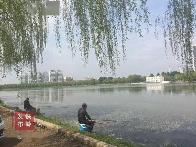 玉渊潭赏月地点-第1张图片-彩蝶百科