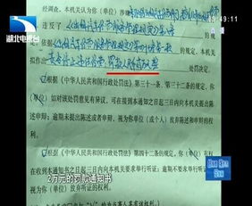 宜昌垂钓中心农家乐-第1张图片-彩蝶百科