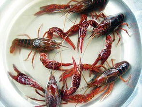 1.地理环境-第1张图片-彩蝶百科 1.地理环境-第1张图片-彩蝶百科