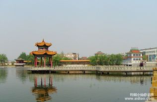 淄博爱心100电话-第1张图片-彩蝶百科