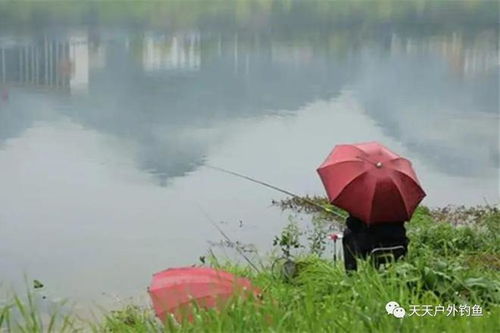 1.选择合适的钓场-第1张图片-彩蝶百科