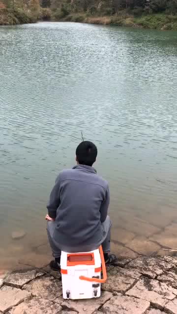 江西水库适合养什么鱼-第1张图片-彩蝶百科