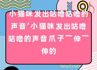 1.狗-第1张图片-彩蝶百科