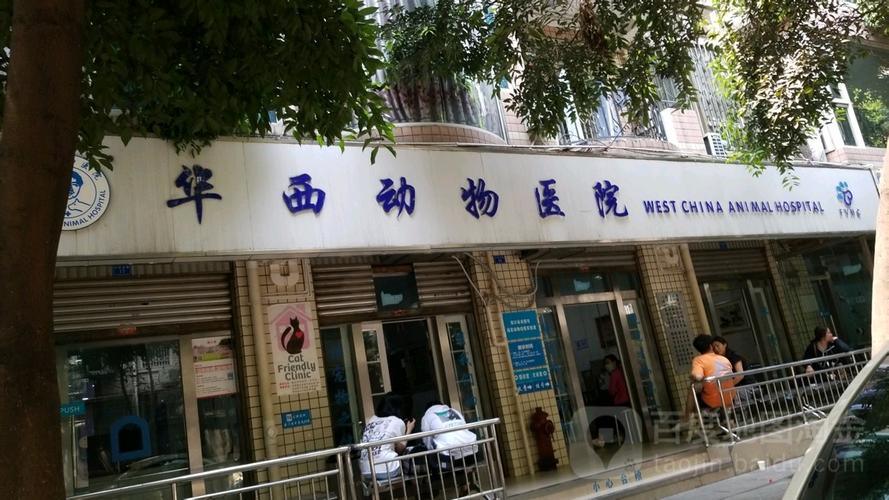 成都华西宠物医院在哪-第1张图片-彩蝶百科