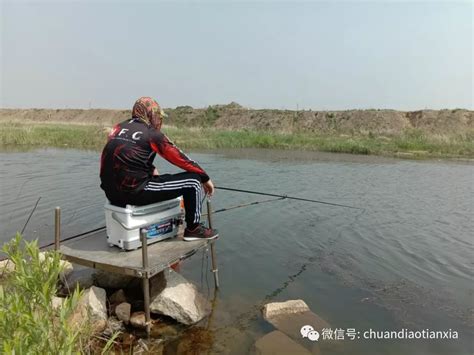 丹江口能吃能住能钓鱼的农家-第1张图片-彩蝶百科 丹江口能吃能住能钓鱼的农家-第1张图片-彩蝶百科